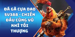 Đá Gà Cựa Dao SV388