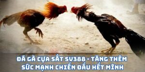 Đá Gà Cựa Sắt SV388