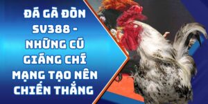 Đá Gà Đòn SV388