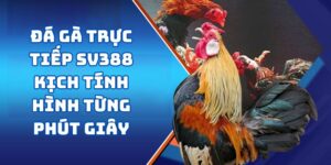 Đá Gà Trực Tiếp SV388