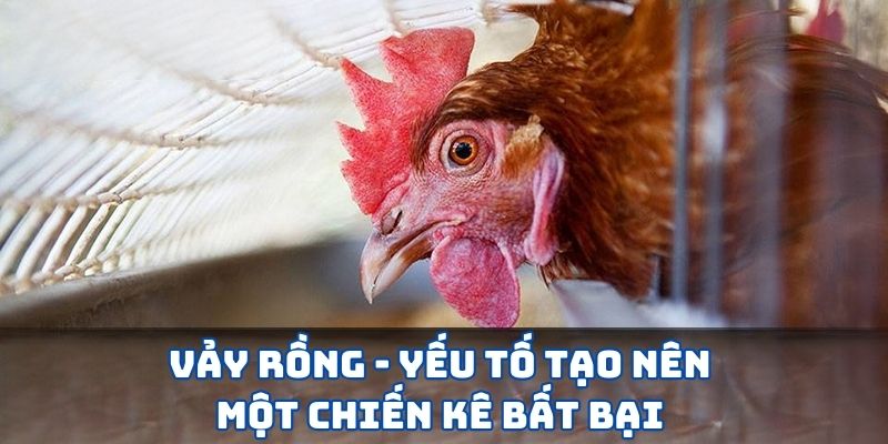 Gà Vảy Rồng SV388